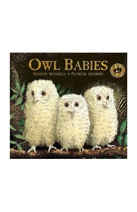 Owl Babies