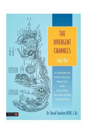 Divergent Channels - Jing Bie