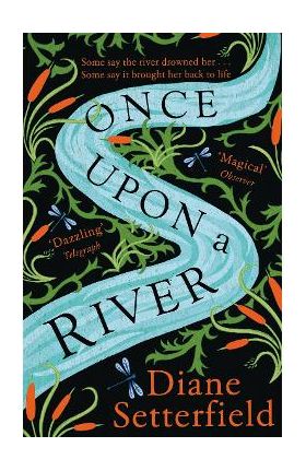 Once Upon a River - Diane Setterfield