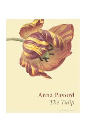 Tulip - Anna Pavord