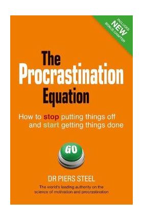 Procrastination Equation - Steel