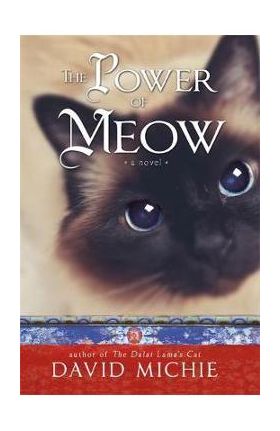 Power of Meow