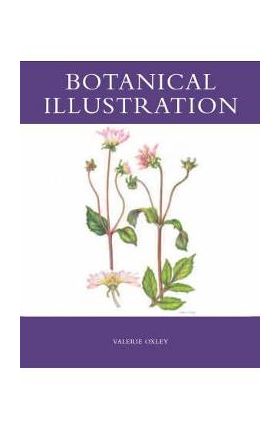 Botanical Illustration