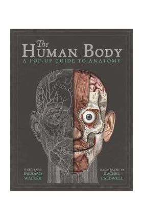 The Human Body