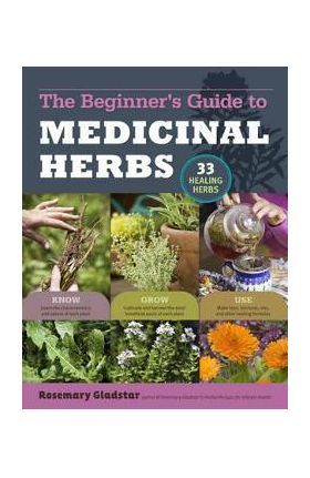 Beginner's Guide to Medicinal Herbs