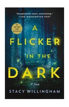 A Flicker in the Dark - Stacy Willingham