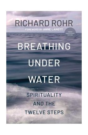 Breathing Under Water: Spirituality and the Twelve Steps - Richard Rohr