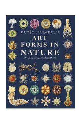 Ernst Haeckel's Art Forms in Nature: A Visual Masterpiece of the Natural World - Ernst Haeckel