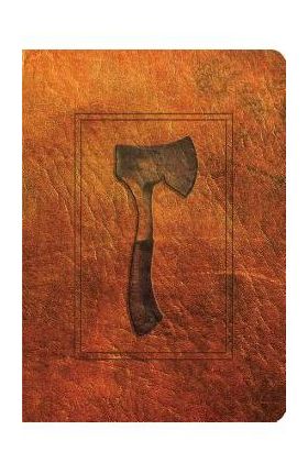 Hatchet - Gary Paulsen