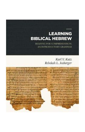 Learning Biblical Hebrew: Reading for Comprehension: An Introductory Grammar - Karl Kutz