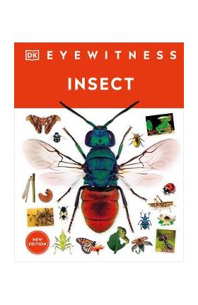 Insect - Dk