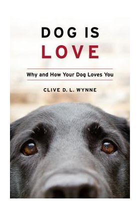 Dog Is Love: Why and How Your Dog Loves You - Clive D. L. Wynne