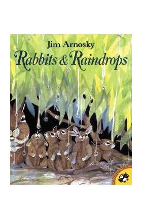 Rabbits and Raindrops - Jim Arnosky