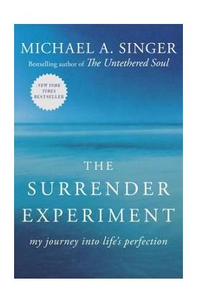 The Surrender Experiment: My Journey Into Life's Perfection - Michael A. Singer