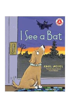 I See a Bat - Paul Meisel
