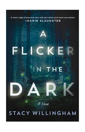 A Flicker in the Dark - Stacy Willingham