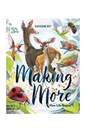Making More: How Life Begins - Katherine Roy