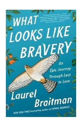 What Looks Like Bravery: An Epic Journey Through Loss to Love - Laurel Braitman