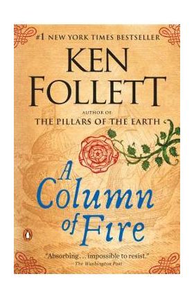 A Column of Fire - Ken Follett