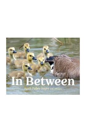 In Between - April Pulley Sayre