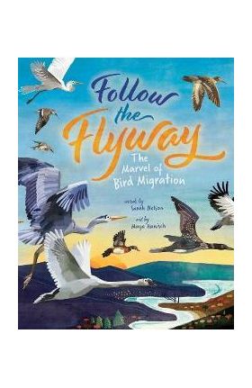 Follow the Flyway: The Marvel of Bird Migration - Sarah Nelson