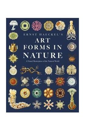 Ernst Haeckel's Art Forms in Nature: A Visual Masterpiece of the Natural World - Adolf Glitsch