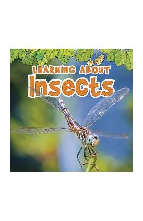 Learning about Insects - Catherine Veitch