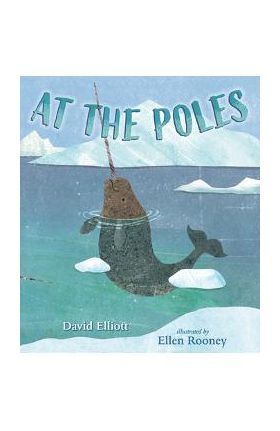 At the Poles - David Elliott