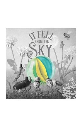 It Fell from the Sky - Terry Fan