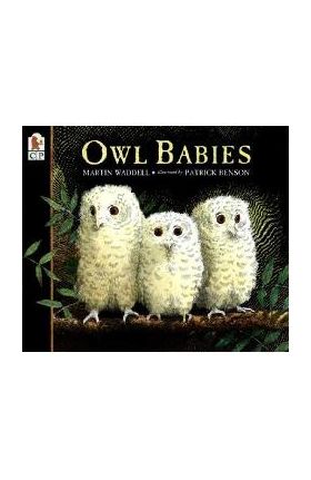 Owl Babies - Martin Waddell