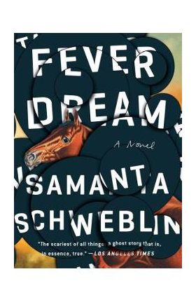 Fever Dream - Samanta Schweblin