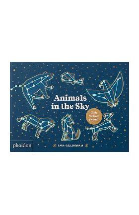 Animals in the Sky - Sara Gillingham