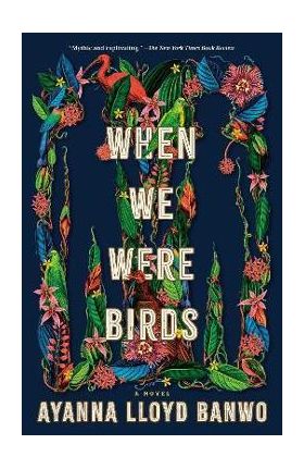 When We Were Birds - Ayanna Lloyd Banwo