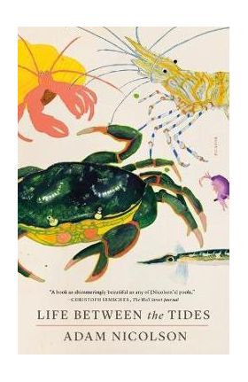 Life Between the Tides - Adam Nicolson