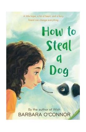 How to Steal a Dog - Barbara O'connor