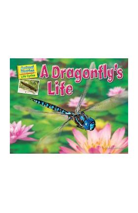 A Dragonfly's Life - Ellen Lawrence