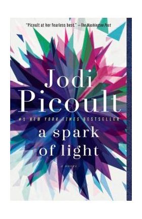 A Spark of Light - Jodi Picoult