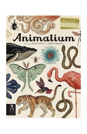 Animalium: Welcome to the Museum - Jenny Broom