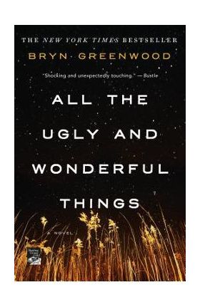 All the Ugly and Wonderful Things - Bryn Greenwood