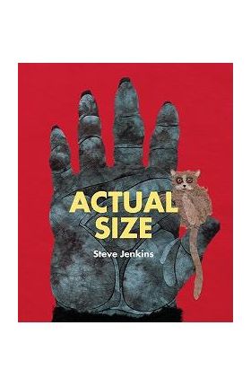 Actual Size - Steve Jenkins