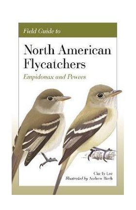 Field Guide to North American Flycatchers: Empidonax and Pewees - Cin-ty Lee