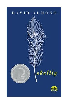 Skellig - David Almond