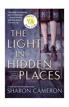 The Light in Hidden Places - Sharon Cameron