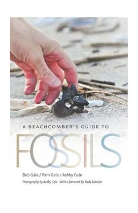 A Beachcomber's Guide to Fossils - Bob Gale