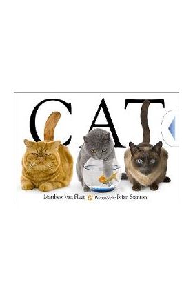 Cat - Matthew Van Fleet