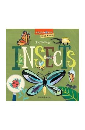 Hello, World! Kids' Guides: Exploring Insects - Jill Mcdonald