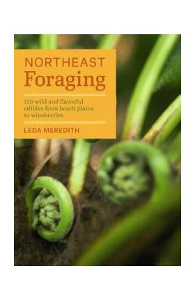 Northeast Foraging: 120 Wild and Flavorful Edibles from Beach Plums to Wineberries - Leda Meredith