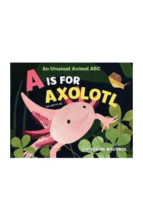 A is for Axolotl: An Unusual Animal ABC - Catherine Macorol