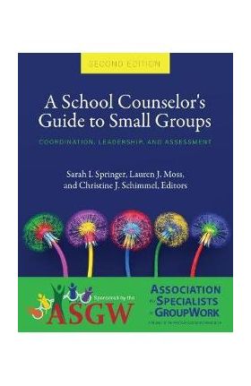 A School Counselor's Guide to Small Groups: Coordination, Leadership, and Assessment - Sarah I. Springer