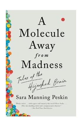 A Molecule Away from Madness: Tales of the Hijacked Brain - Sara Manning Peskin